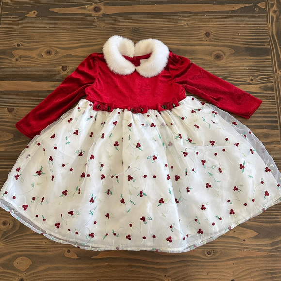 Wonder Kids Other - Wonder Kids Holiday Formal Dress 24M Red Velvet Faux Fur Embroidered Skirt